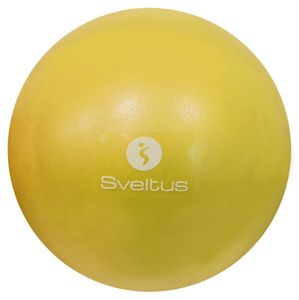 Sveltus Ballon pédagogique Ø22/25cm – Image 4