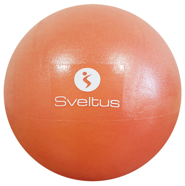 Sveltus Ballon pédagogique Ø22/25cm – Image 5