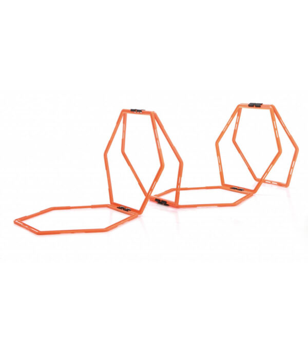 Sveltus Echelle training – Image 2