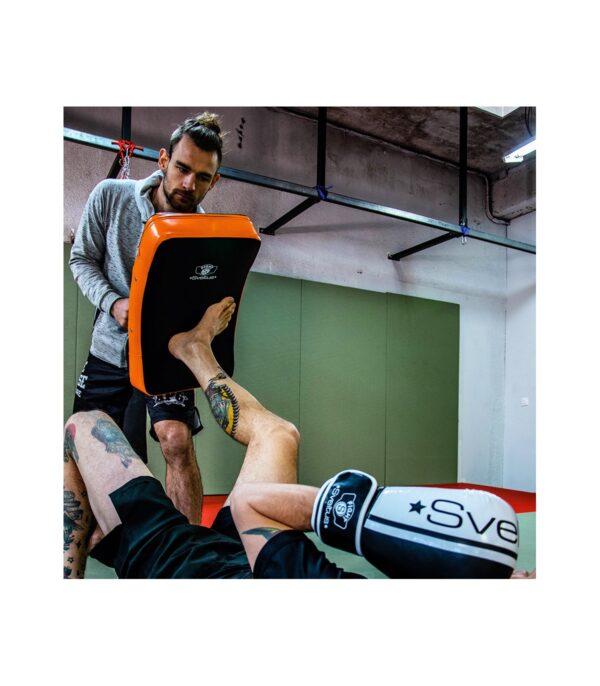 Sveltus Bouclier – Image 5