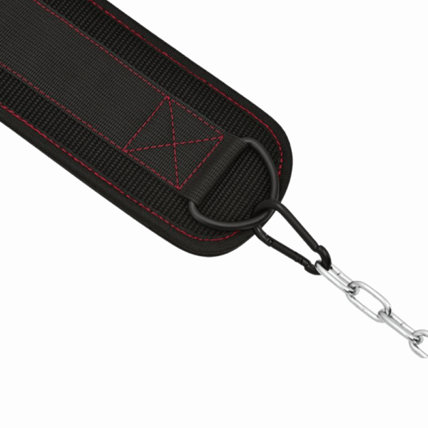 RDX T7 Ceinture de Musculation à Chaîne – Image 3