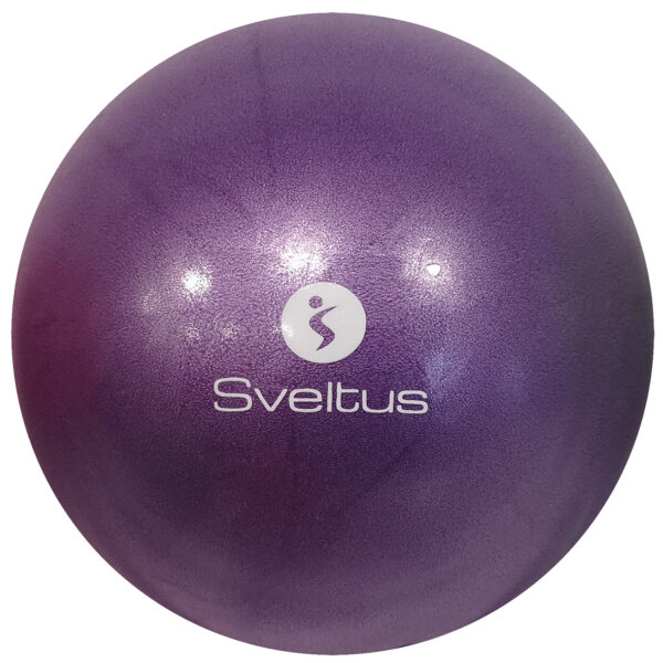 Sveltus Ballon pédagogique Ø22/25cm – Image 6