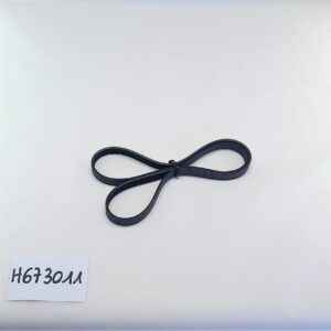 BH Fitness Courroie H673