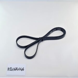 BH Fitness Courroie H9173