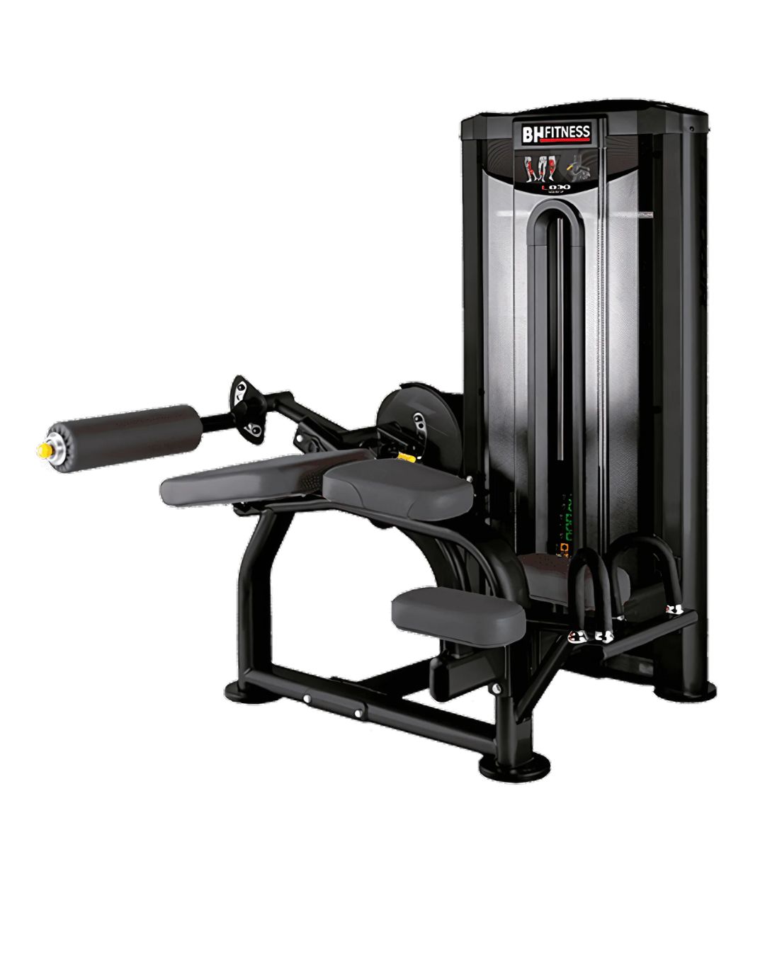 BH Fitness GP - Ischios allongé