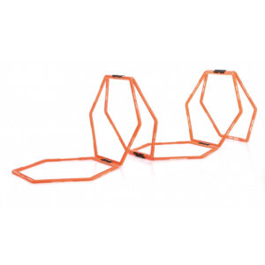 Sveltus Echelle training