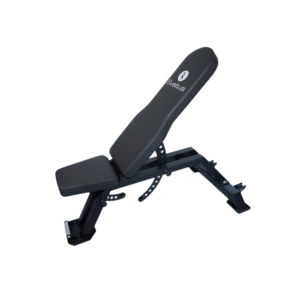 Sveltus Banc Training V2